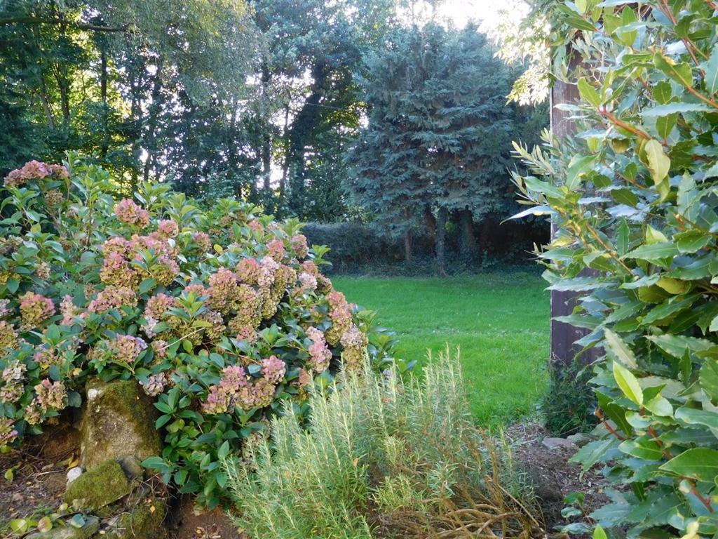 Bed and Breakfast Repos Sous Les Arbres Kergrist-Moelou Exteriér fotografie